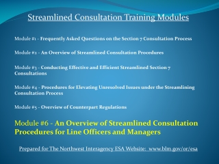 Streamlined Consultation Training Modules