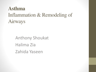 Asthma Inflammation &amp; Remodeling of Airways
