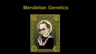 Mendelian Genetics