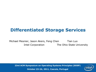 Differentiated Storage Services