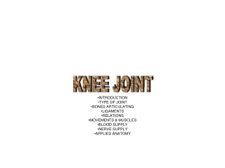 KNEE JOINT