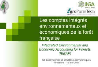 Les comptes intégrés environnementaux et économiques de la forêt française