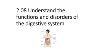 2.08 Understand the functions and disorders of the digestive system