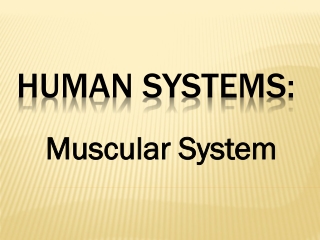 Human Systems: