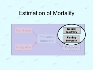 Estimation of Mortality