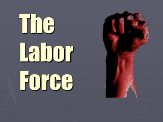 The Labor Force