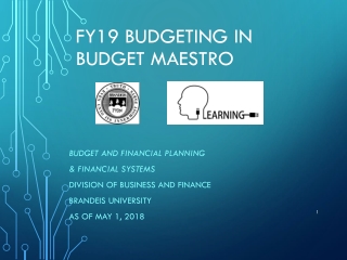 FY19 BUDGETING IN BUDGET MAESTRO