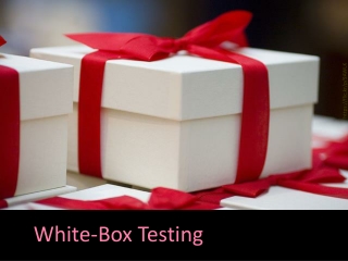 White-Box Testing