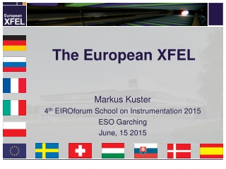 The European XFEL