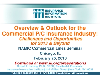 NAMIC Commercial Lines Seminar Chicago, IL February 25, 2013 Download at iii/presentations