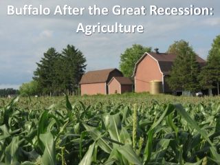 Buffalo After the Great Recession: Agriculture