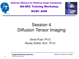 Session 4 Diffusion Tensor Imaging