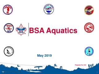 BSA Aquatics