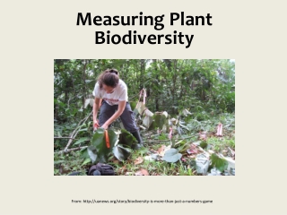 Measuring Plant Biodiversity