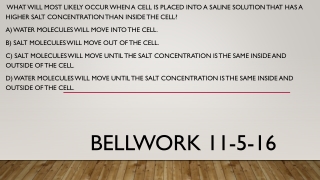 Bellwork 11-5-16