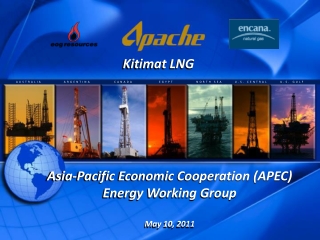 Asia-Pacific Economic Cooperation (APEC) Energy Working Group May 10, 2011