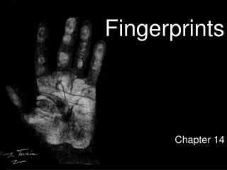 Fingerprints