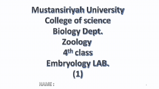 Mustansiriyah U niversity College of science Biology Dept. Zoology 4 th class Embryology LAB. (1)