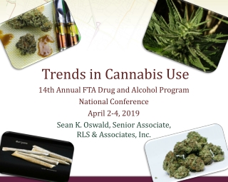  Trends in Cannabis Use