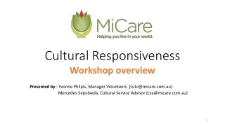 Cultural Responsiveness