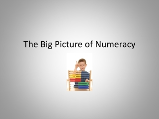 The Big Picture of Numeracy