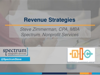 Revenue Strategies