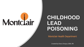 CHILDHOOD LEAD POISONING