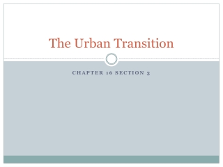 The Urban Transition