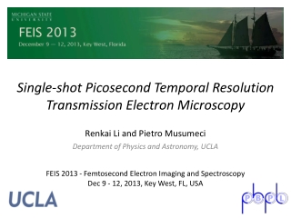 Single-shot Picosecond Temporal Resolution Transmission Electron Microscopy