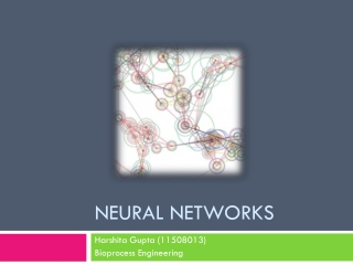 Neural Networks