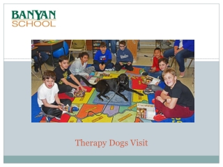 Therapy Dogs Visit