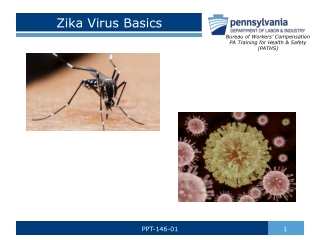 Zika Virus Basics