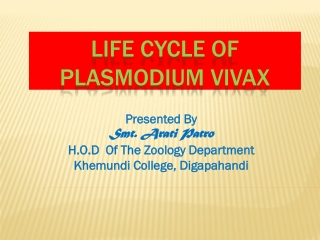 LIFE CYCLE OF PLASMODIUM VIVAX