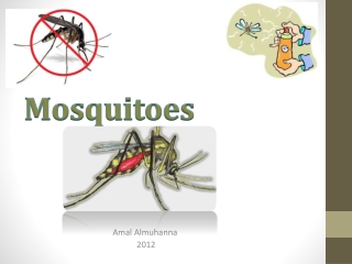 Mosquitoes