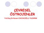 EVRESEL STROJENLER Yrd.Do .Dr.Nuran CIKCIKOGLU YILDIRIM