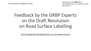 Feedback by the GRBP Experts on the Draft Resolution on Road Surface Labelling