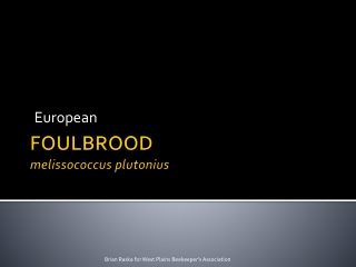 FOULBROOD melissococcus plutonius