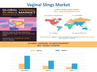 Vaginal Slings Market