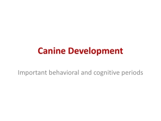Canine Development