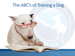 The ABC’s of Training a Dog