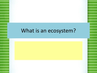 What is an ecosystem?