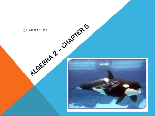 Algebra 2 – Chapter 5