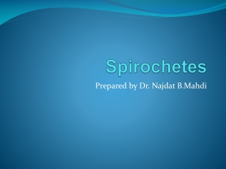 Spirochetes