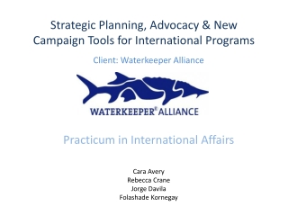 Strategic Planning, Advocacy &amp; New Campaign Tools for International Programs