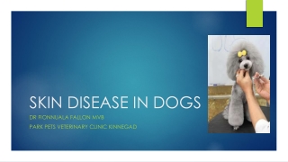 SKIN DISEASE IN DOGS