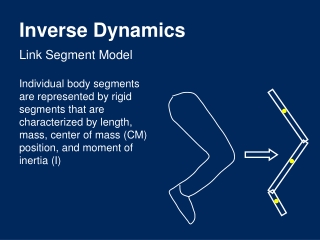 Inverse Dynamics