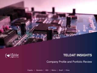 TELDAT INSIGHTS