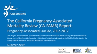 The California Pregnancy-Associated Mortality Review (CA-PAMR) Report: