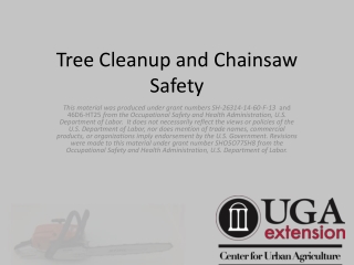 Tree Cleanup and Chainsaw Safety