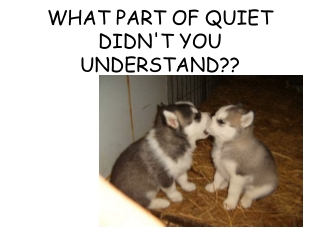 WHAT PART OF QUIET DIDN'T YOU UNDERSTAND??